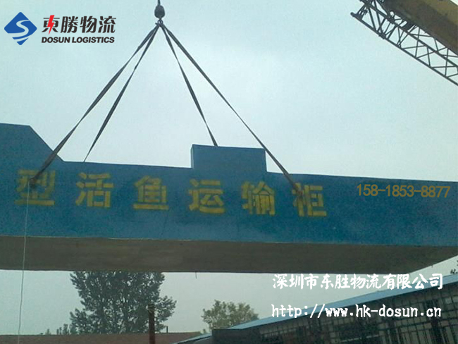 物流活體魚要注意哪些事項？該怎么運輸？深圳到香港物流,香港深圳貨運運輸,深圳香港進出口,深港物流專線,中港物流,東勝物流集團-大件物流到香港